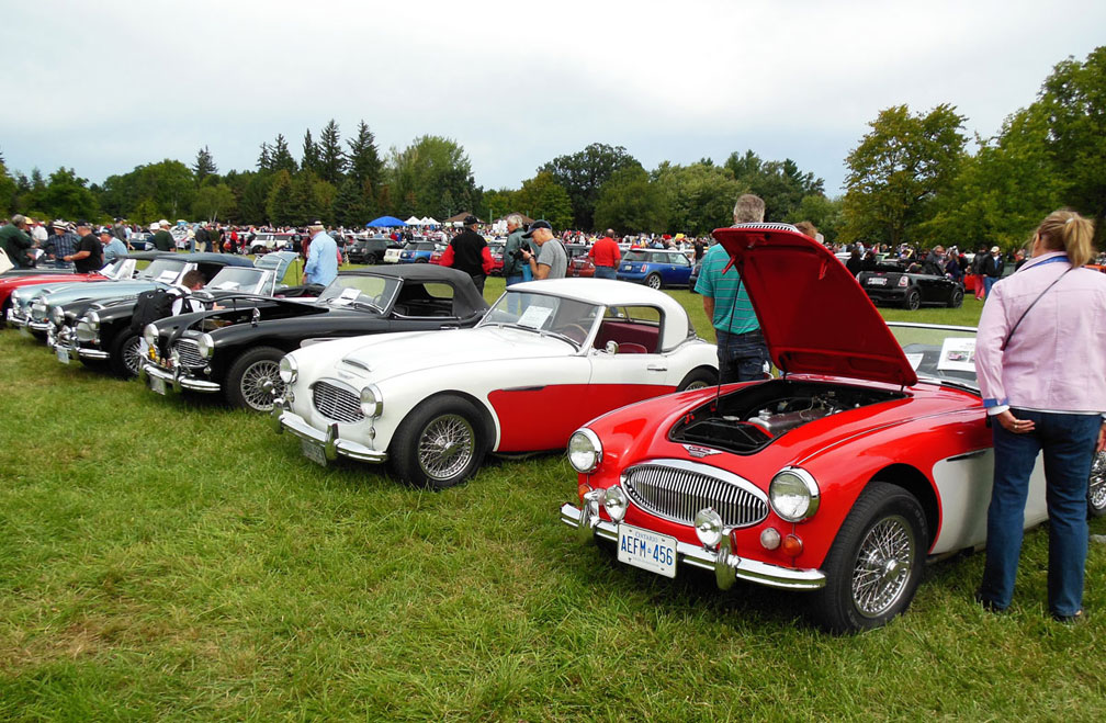 Austin-Healey 3000